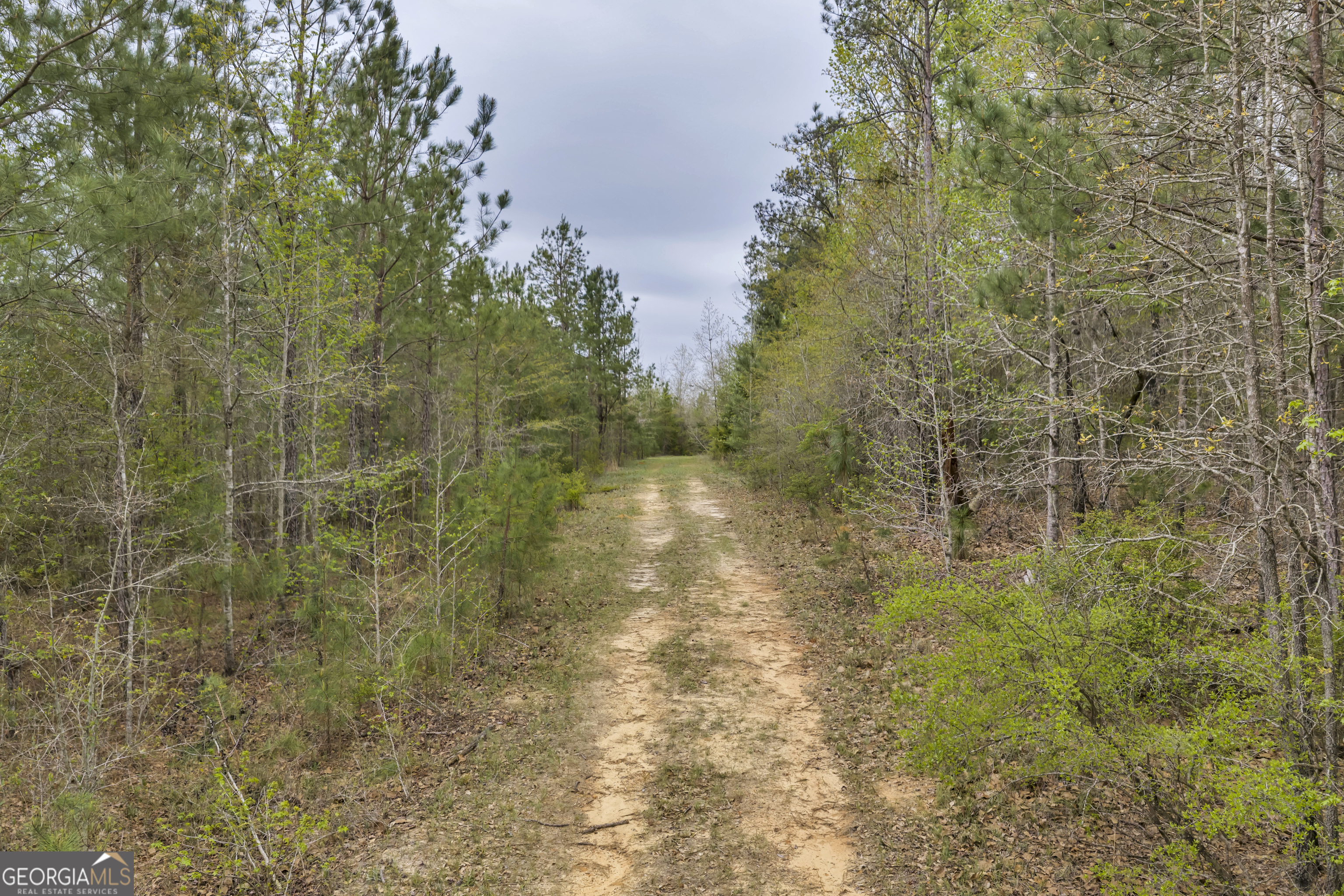 3912 Highway 82 Morris, GA 39867 - Photo 54 of 68