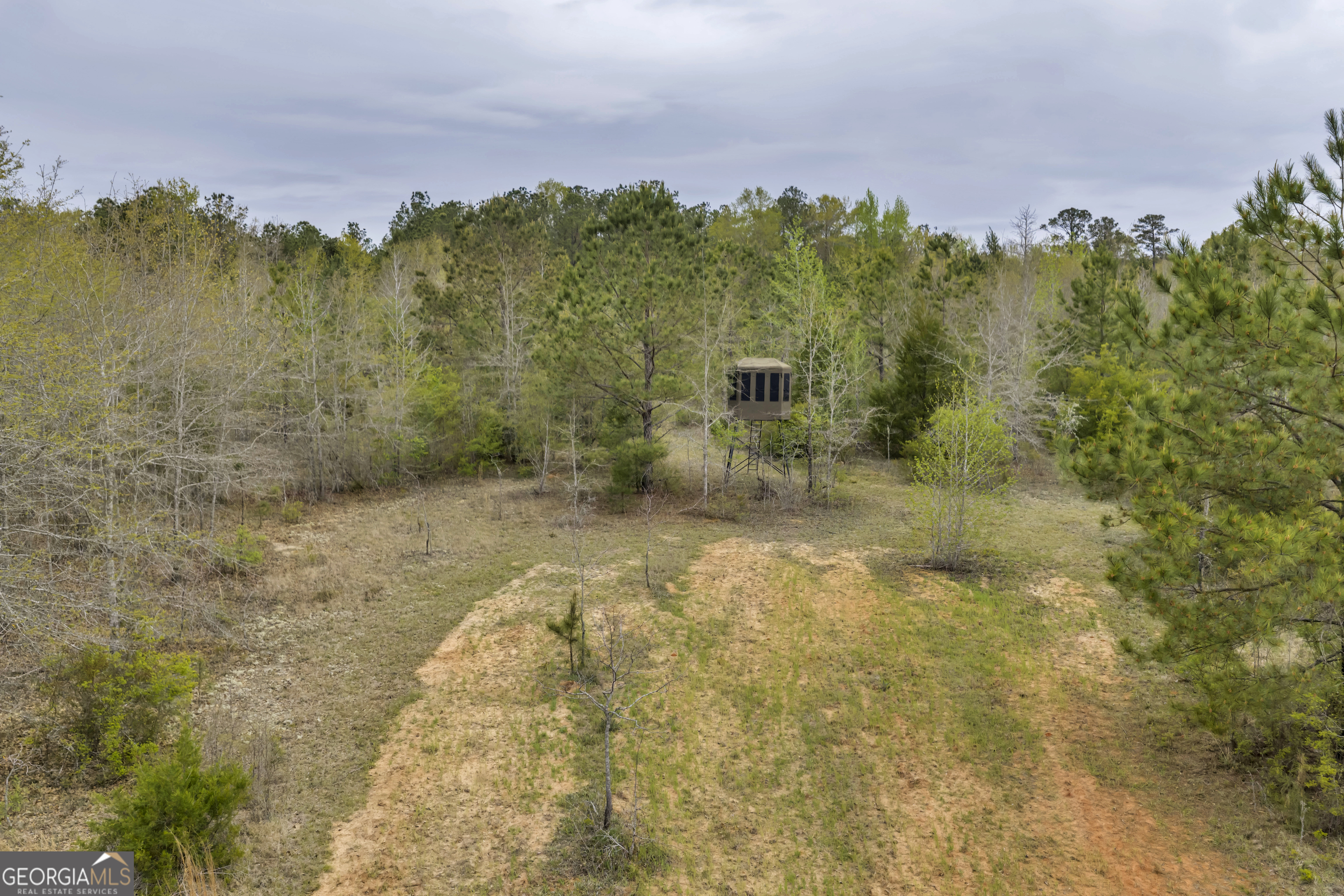 3912 Highway 82 Morris, GA 39867 - Photo 55 of 68