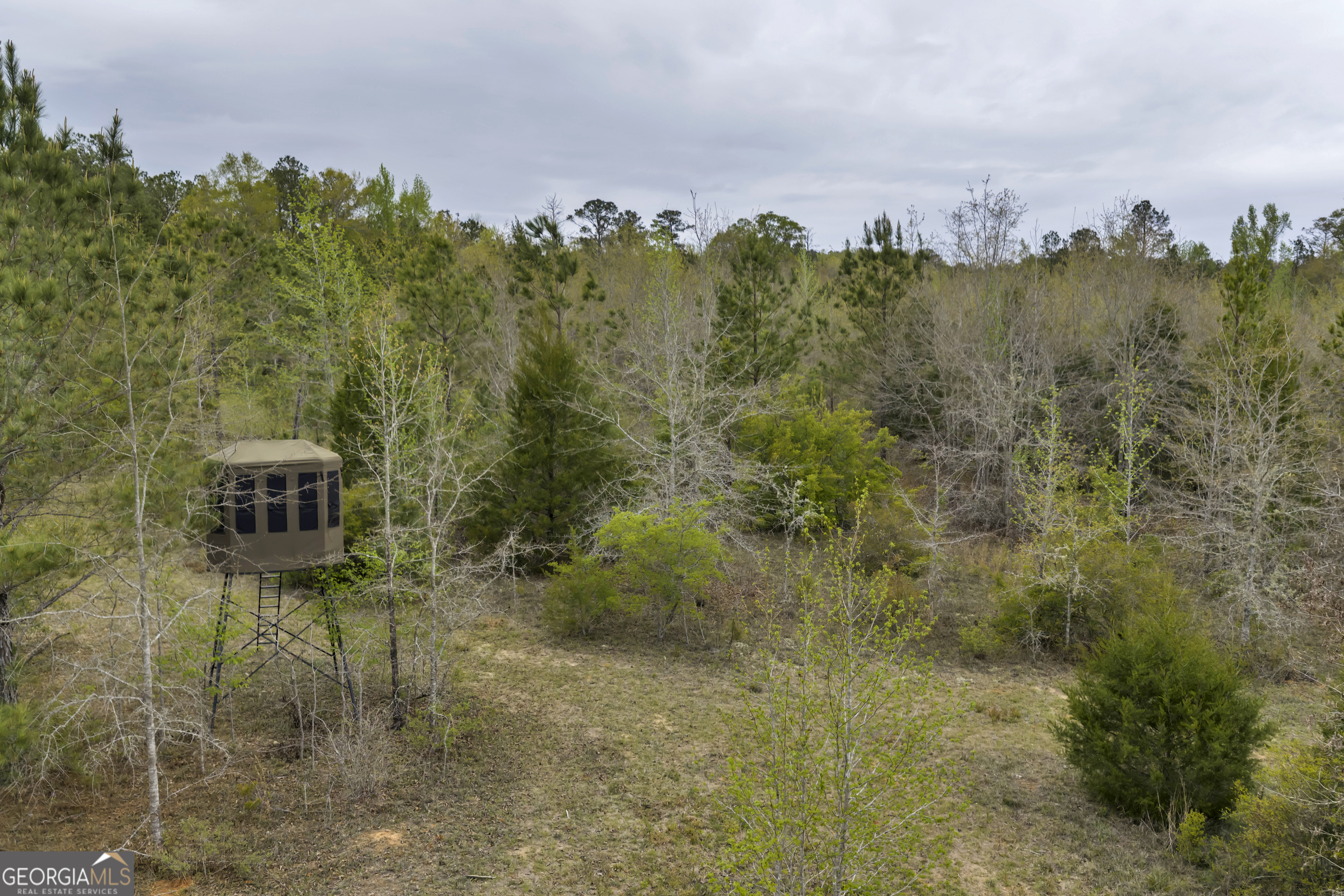 3912 Highway 82 Morris, GA 39867 - Photo 56 of 68