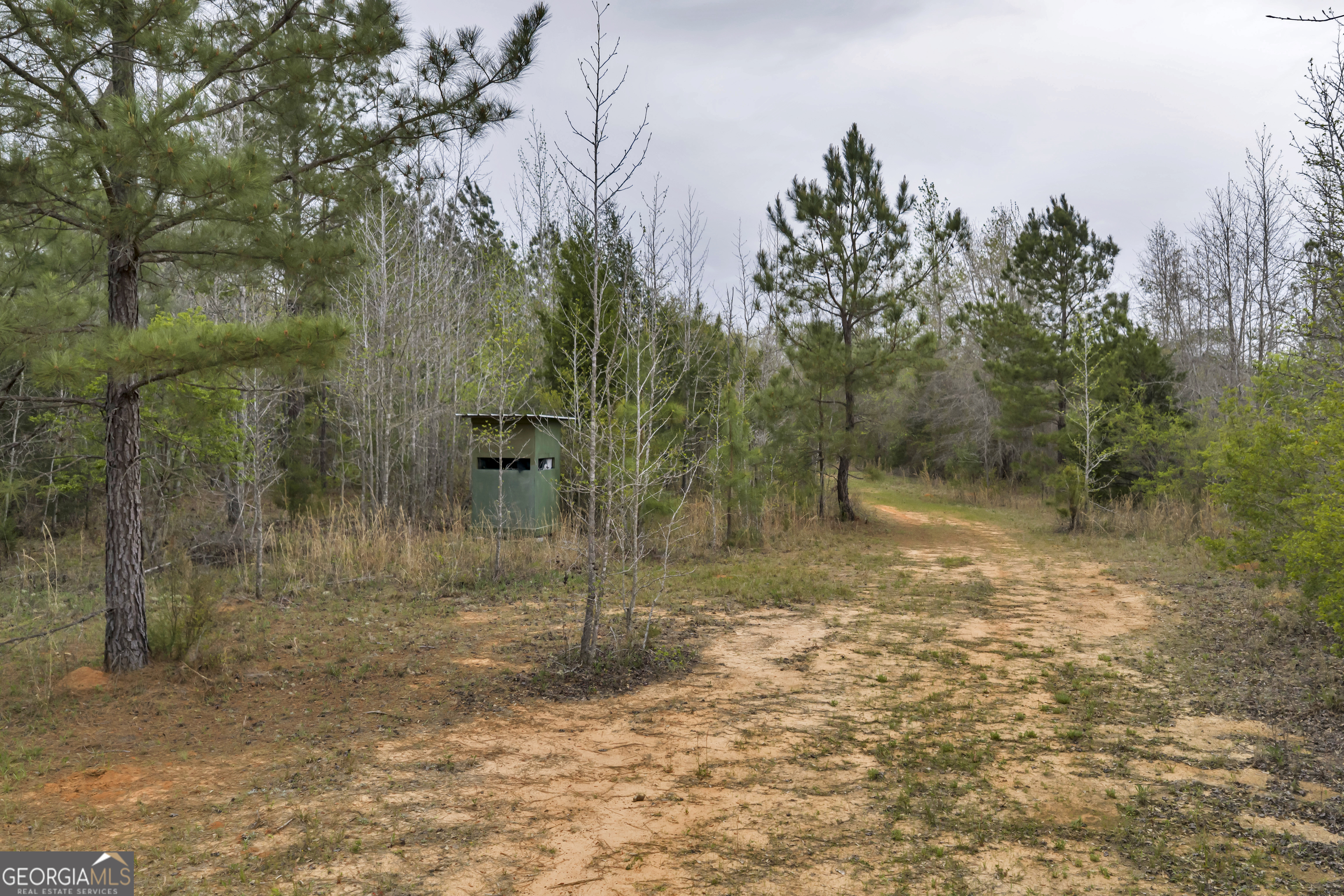 3912 Highway 82 Morris, GA 39867 - Photo 57 of 68