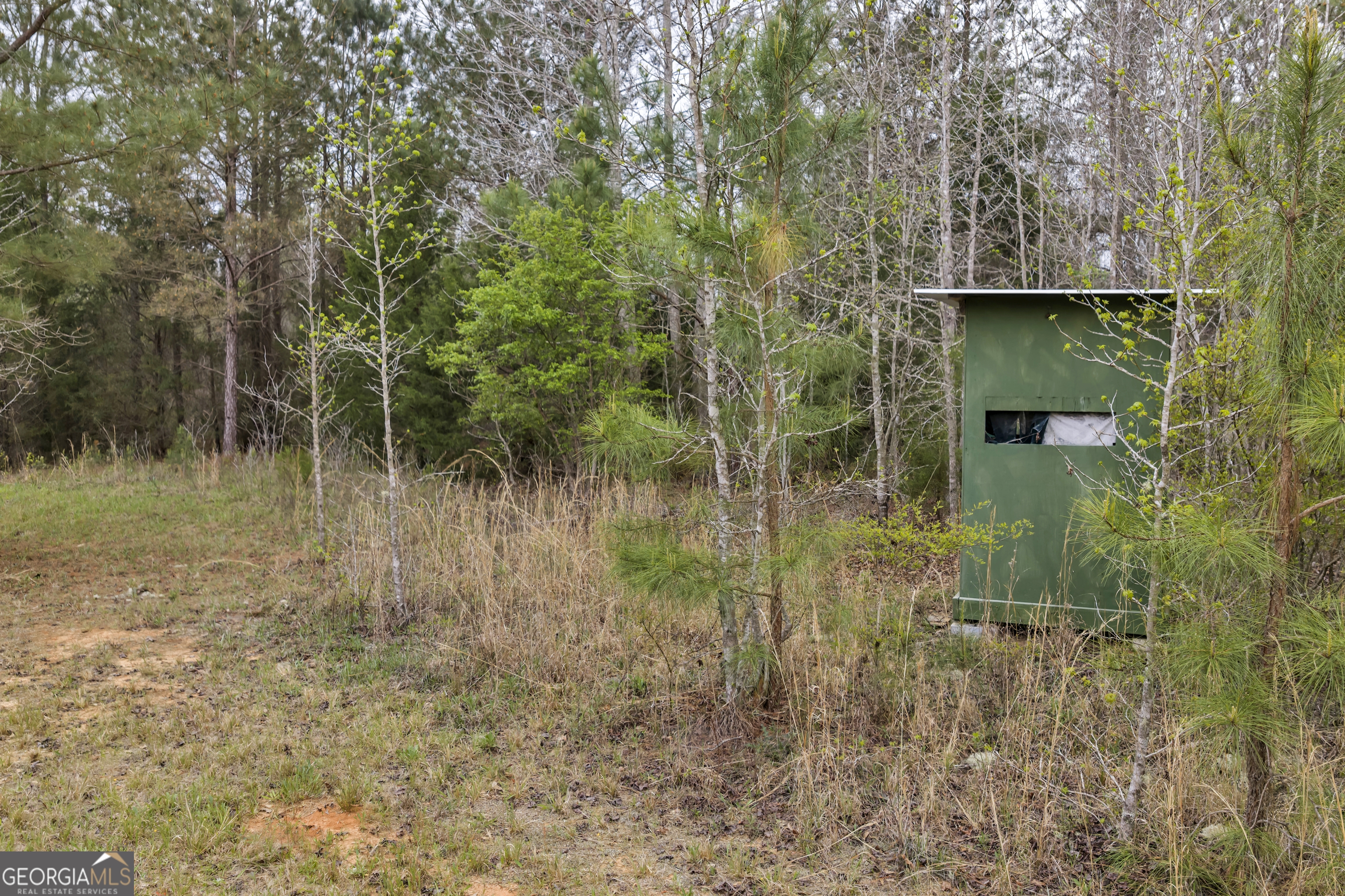3912 Highway 82 Morris, GA 39867 - Photo 58 of 68