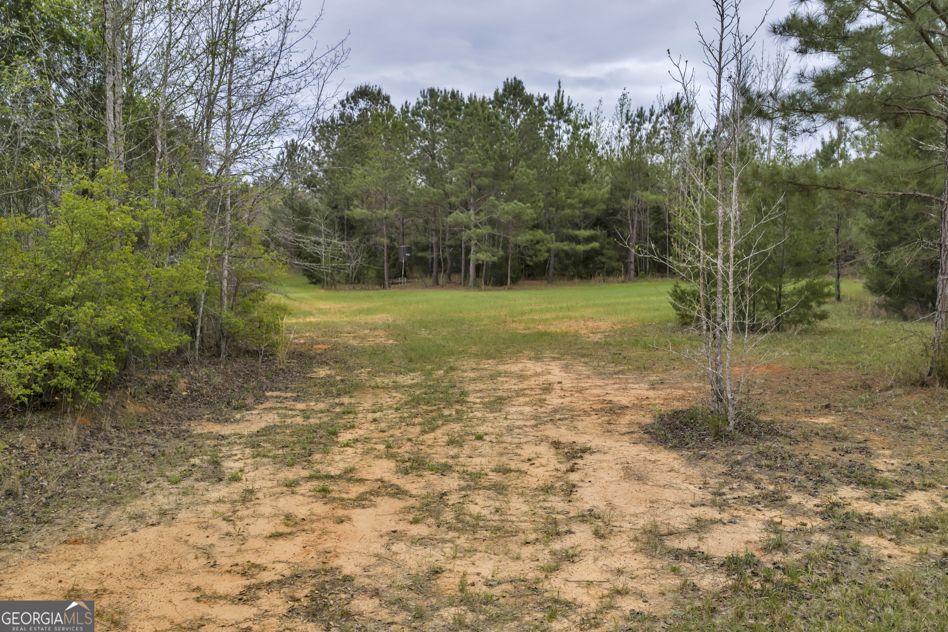 3912 Highway 82 Morris, GA 39867 - Photo 59 of 68