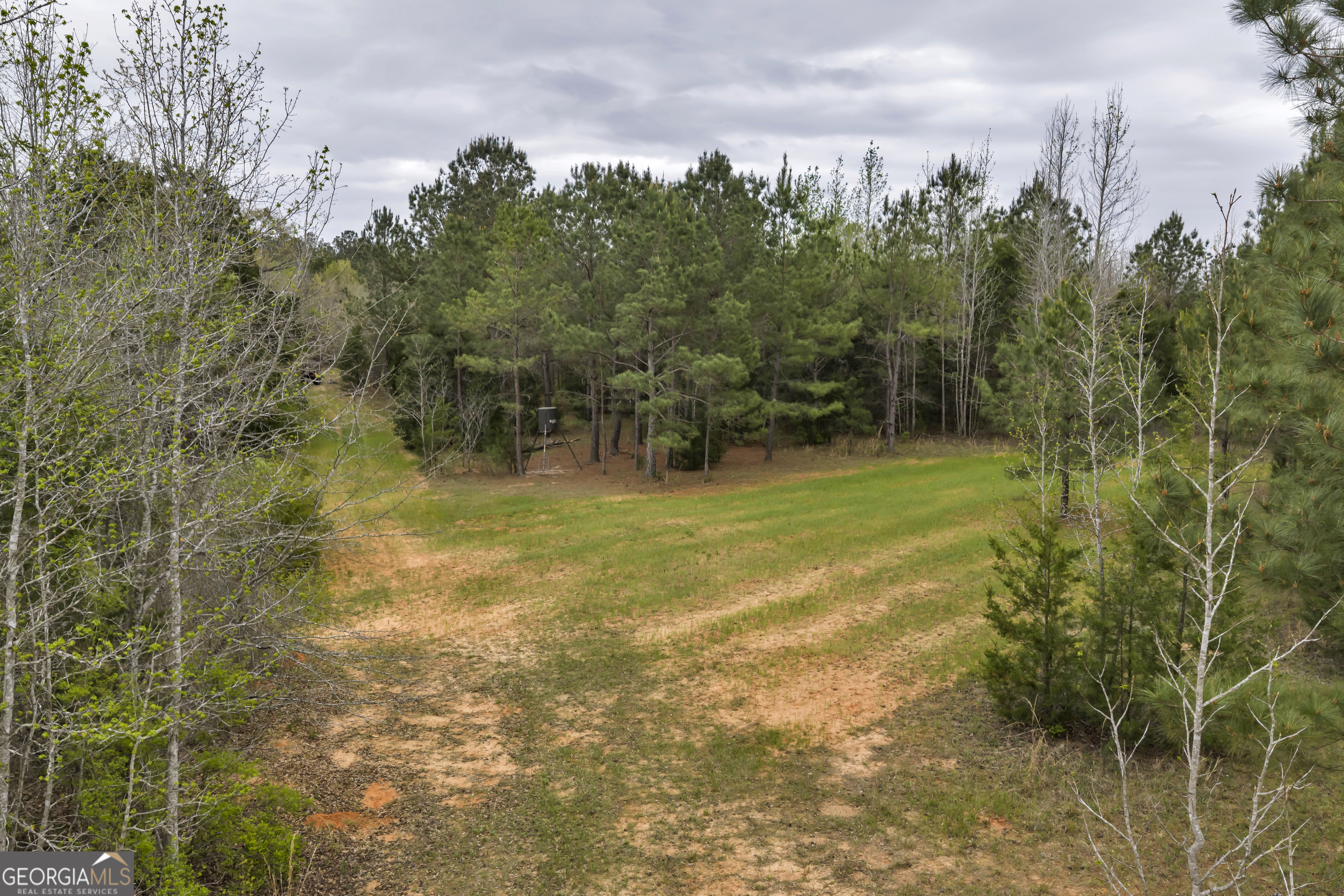 3912 Highway 82 Morris, GA 39867 - Photo 60 of 68