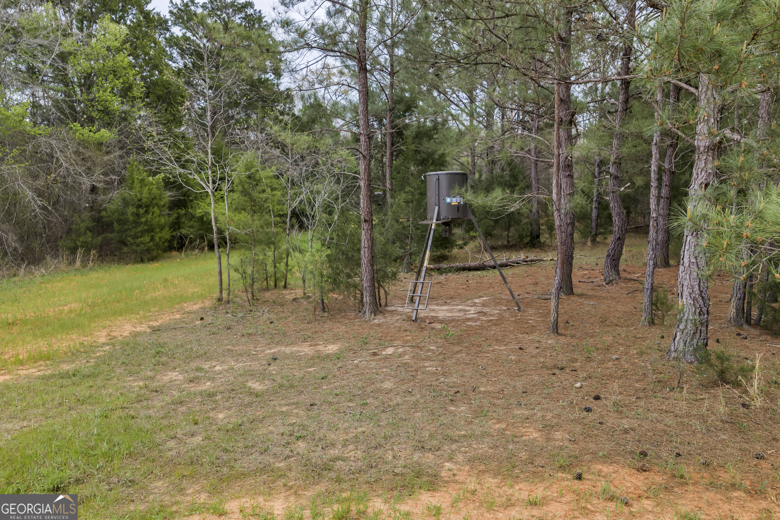 3912 Highway 82 Morris, GA 39867 - Photo 61 of 68