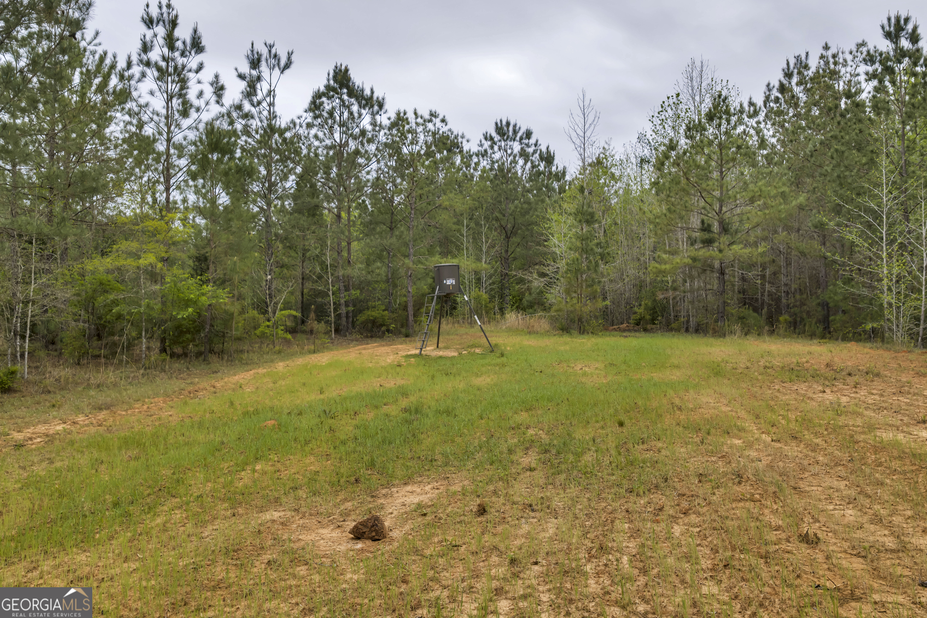 3912 Highway 82 Morris, GA 39867 - Photo 63 of 68