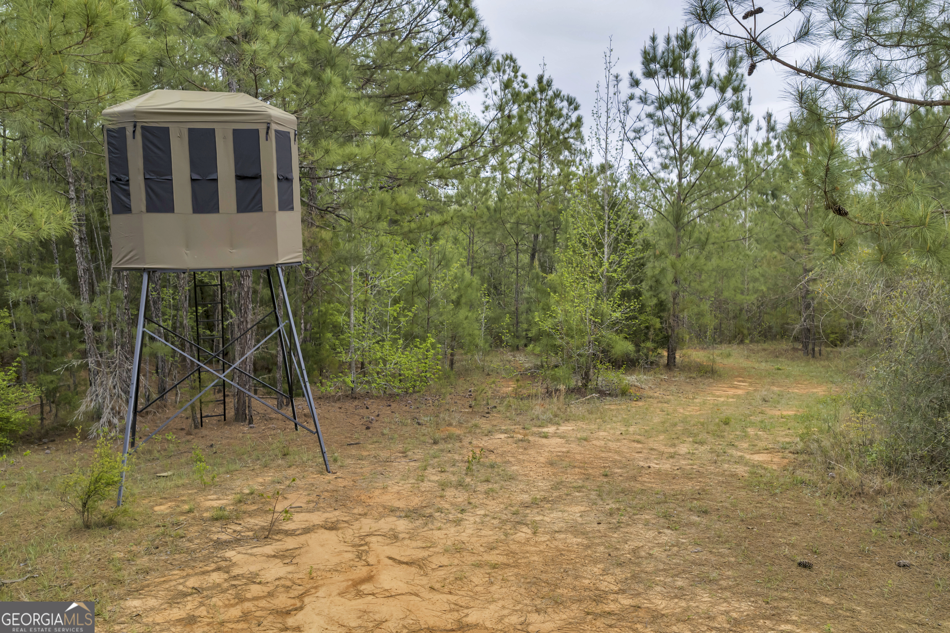 3912 Highway 82 Morris, GA 39867 - Photo 64 of 68