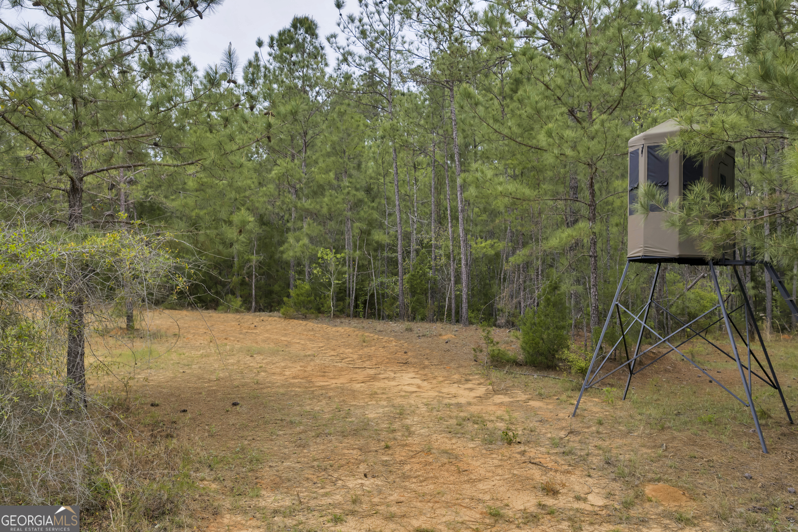 3912 Highway 82 Morris, GA 39867 - Photo 65 of 68
