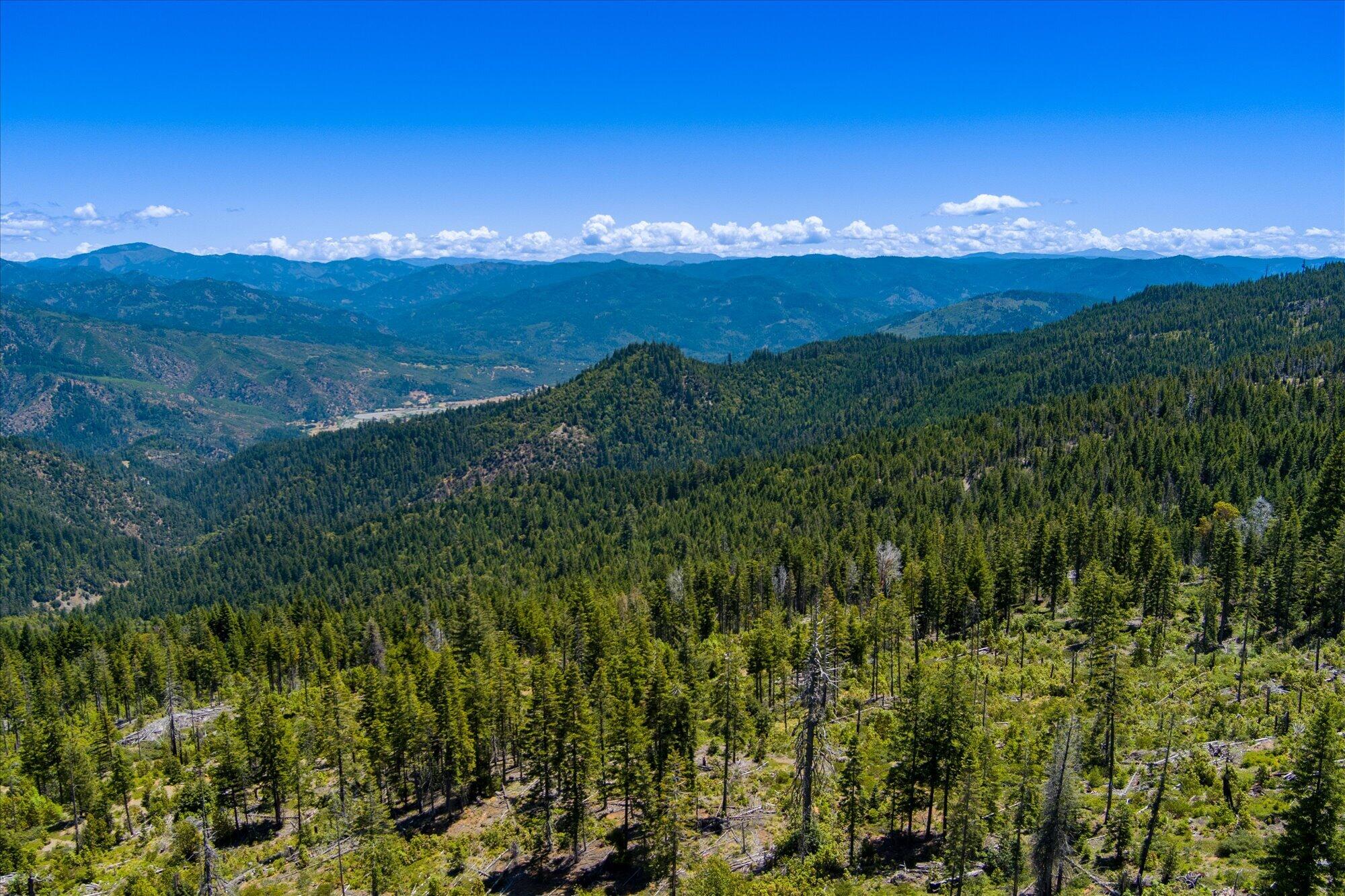 0 Forest Rte 4N20 Road Hayfork, CA 96041 - Photo 4 of 22