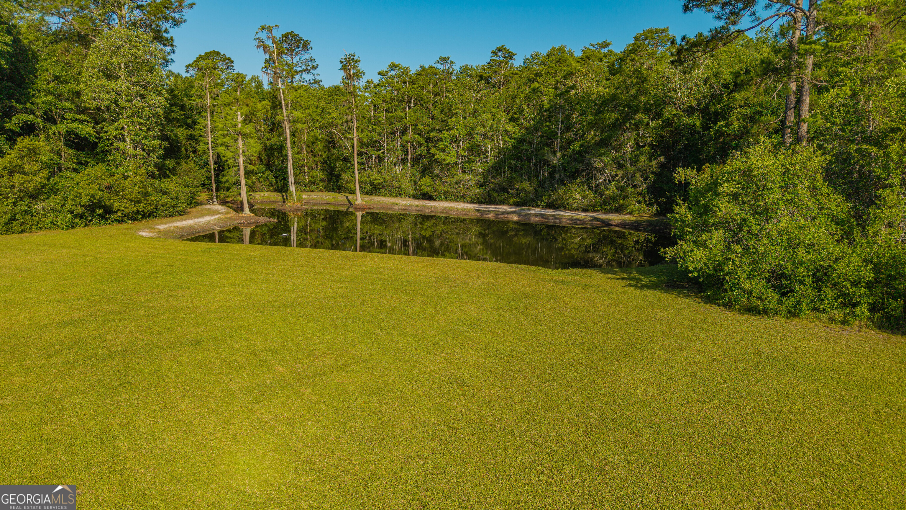 3907 Shiloh Highway Homerville, GA 31634 - Photo 18 of 59