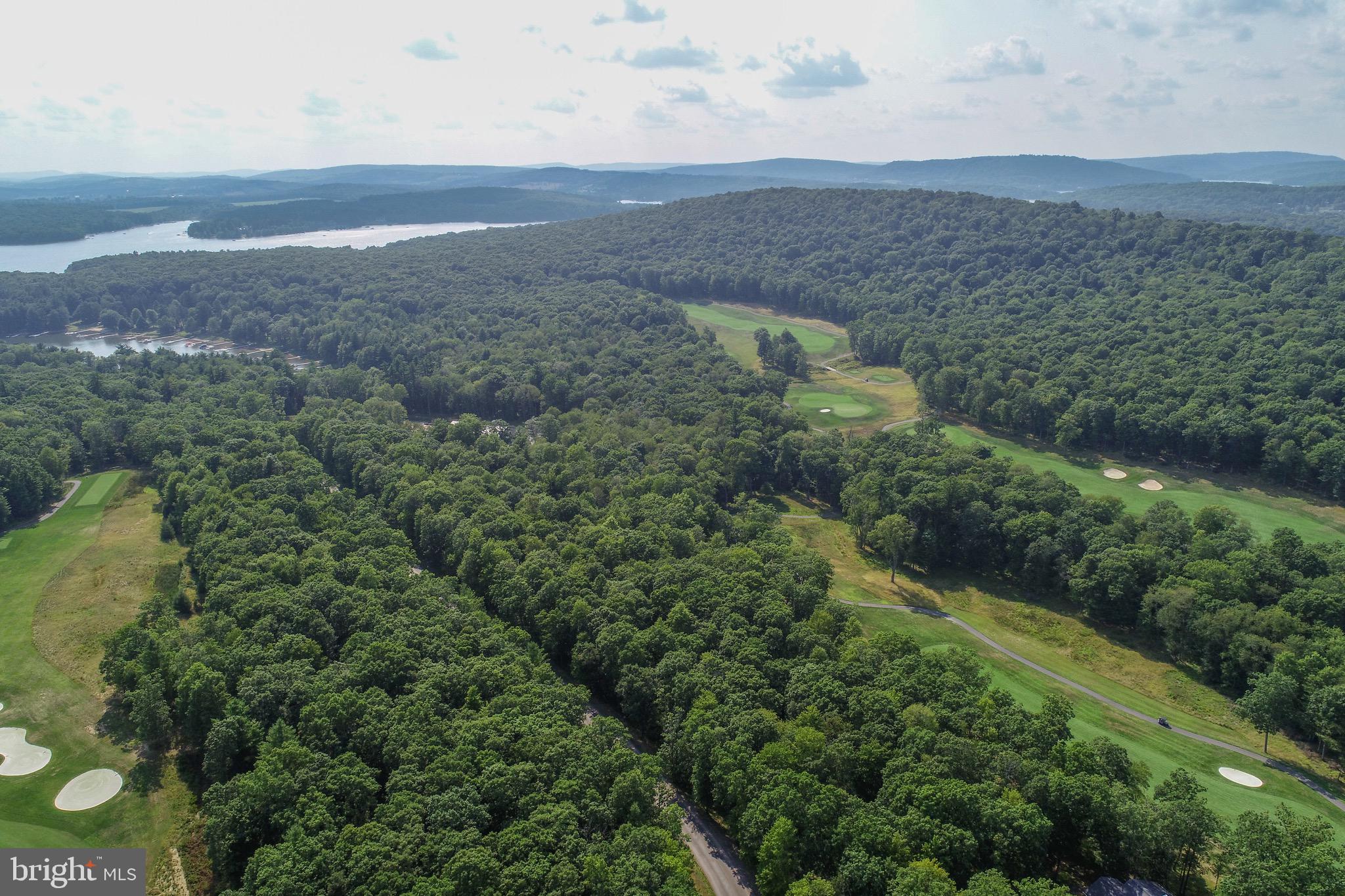 1 Thousand Acres Road Swanton, MD 21561 - Photo 3 of 14