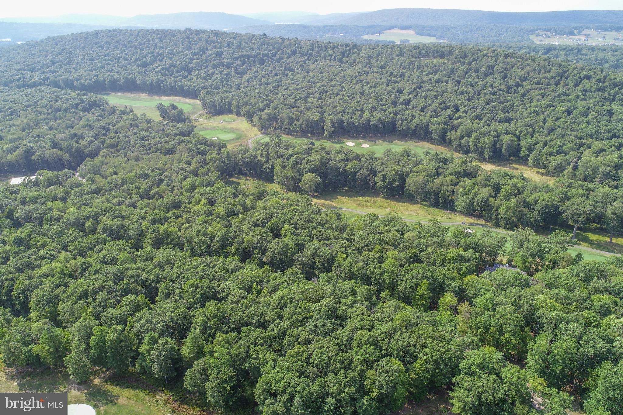 1 Thousand Acres Road Swanton, MD 21561 - Photo 4 of 14