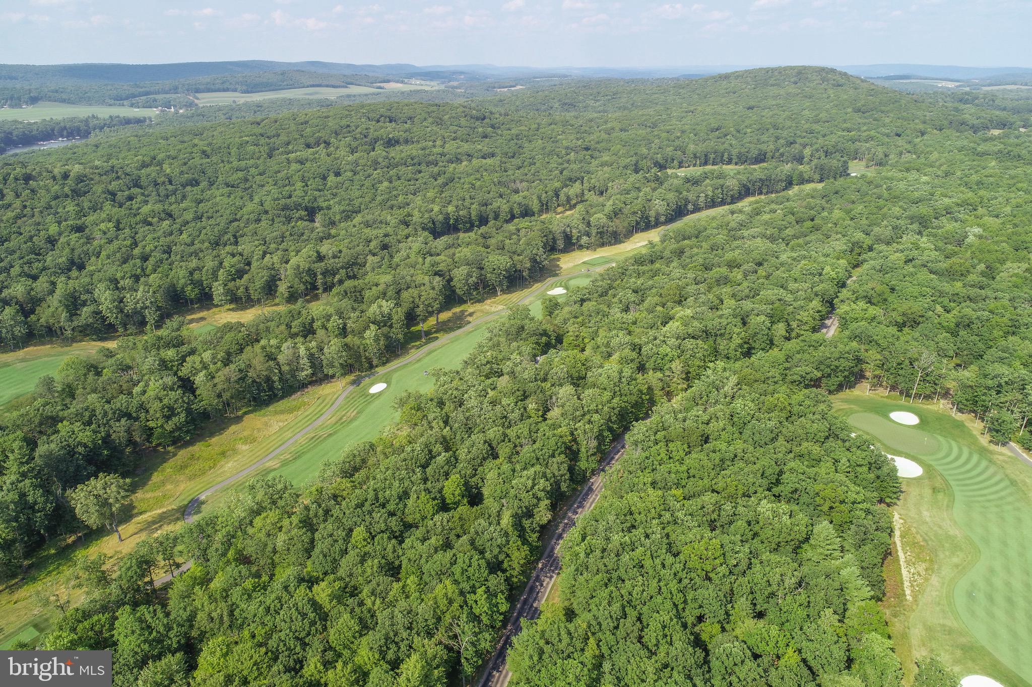 1 Thousand Acres Road Swanton, MD 21561 - Photo 5 of 14