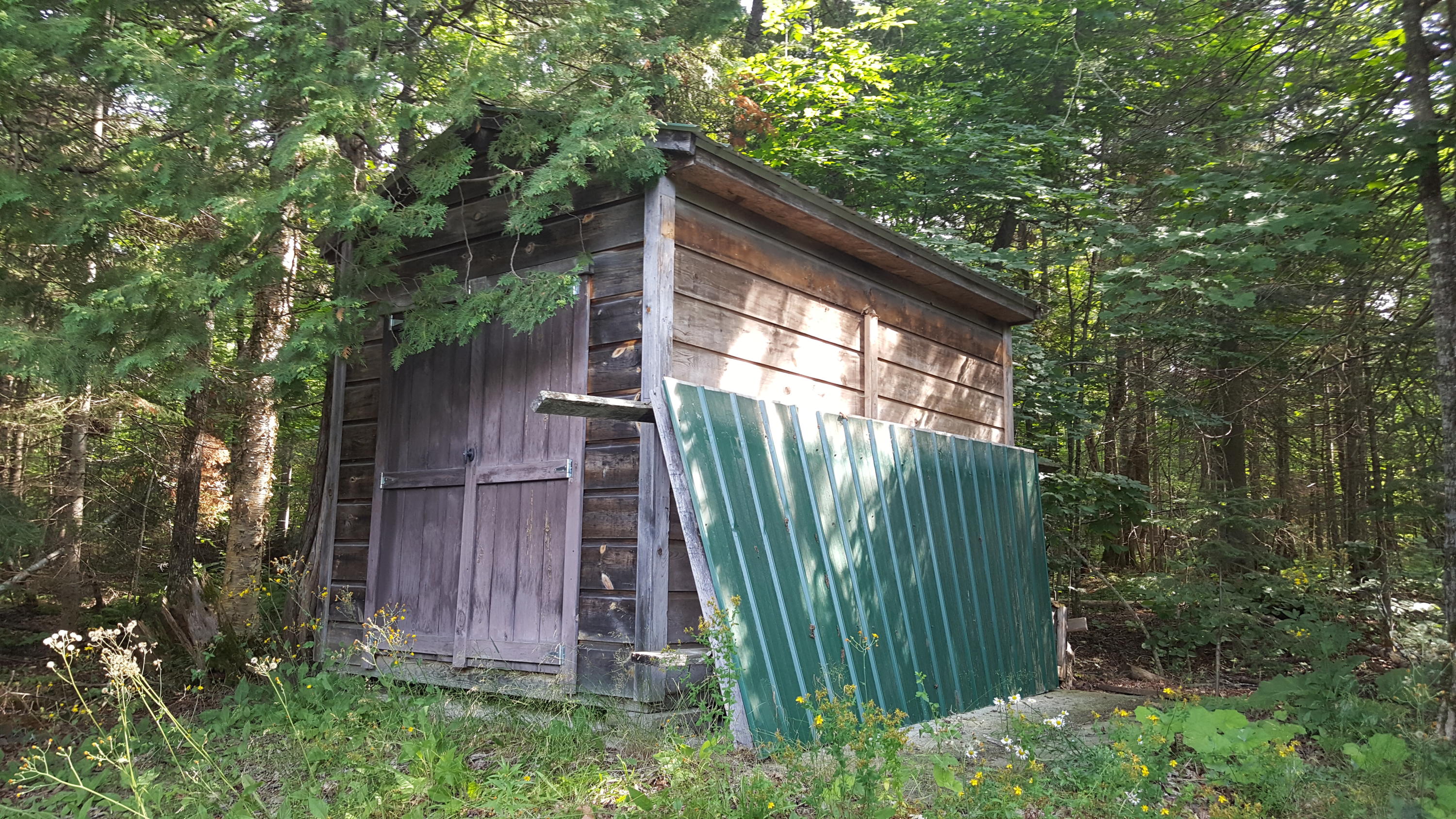 430 East Cottage Road Portage Lake, ME 04768 - Photo 27 of 32 20190730_092824