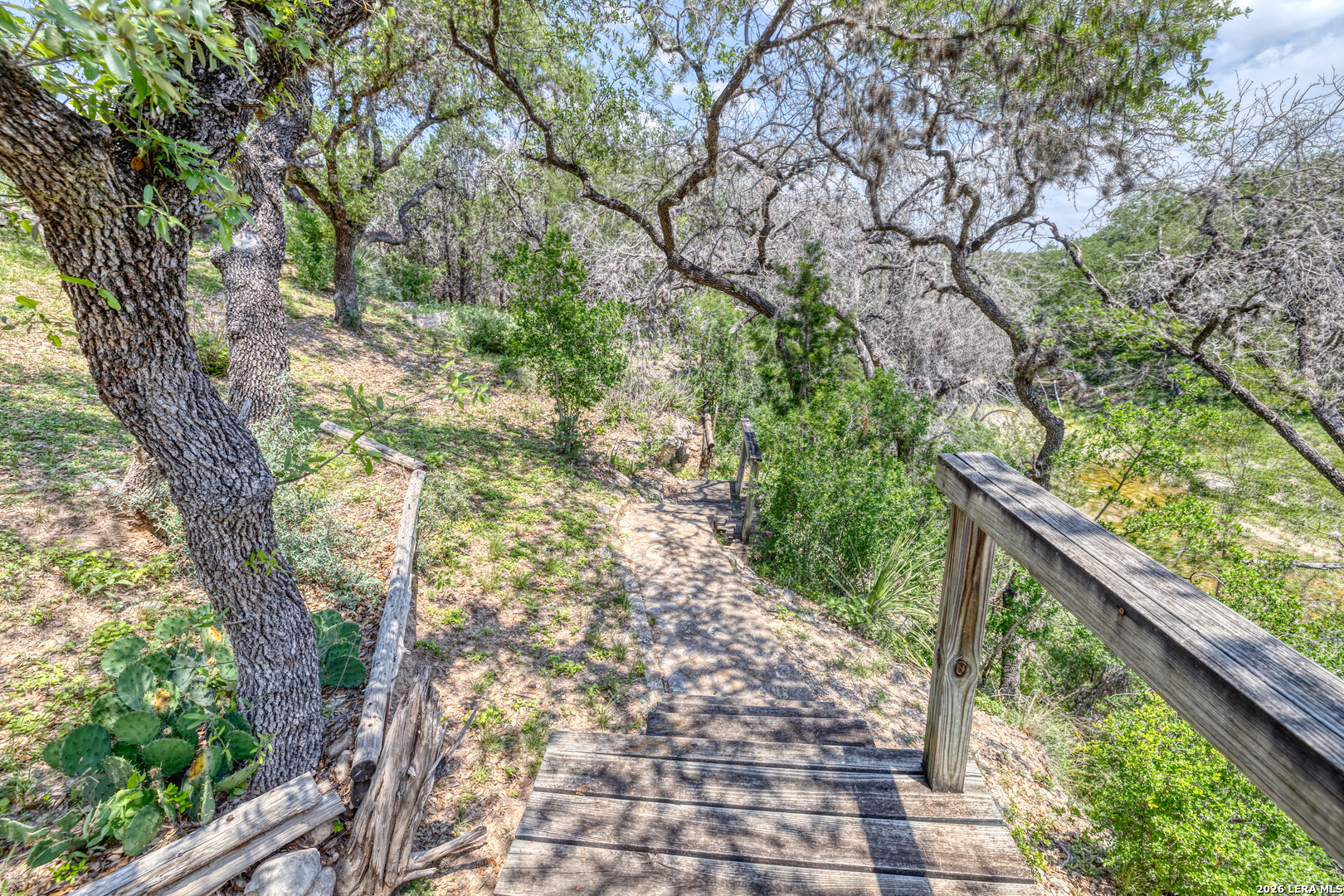 270 Robinson Road Concan, TX 78838 - Photo 18 of 50 a yard with tall trees