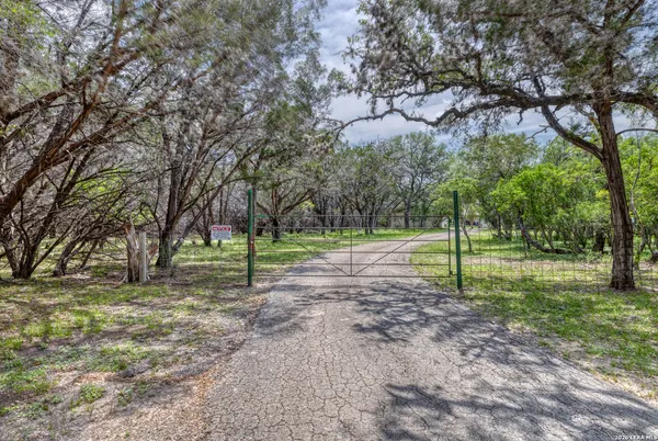 a view of a park with a tree