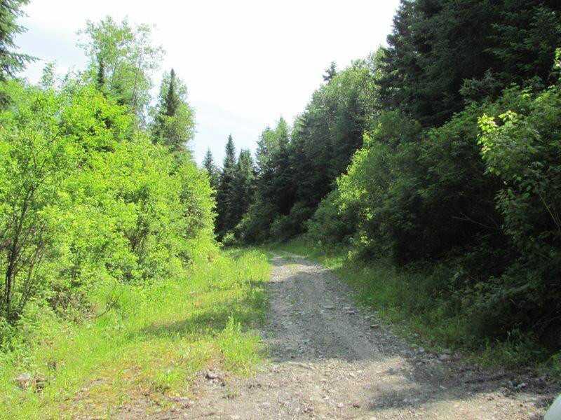 44 Off Frenchville Road Fort Kent, ME 04745 - Photo 1 of 3 Land.