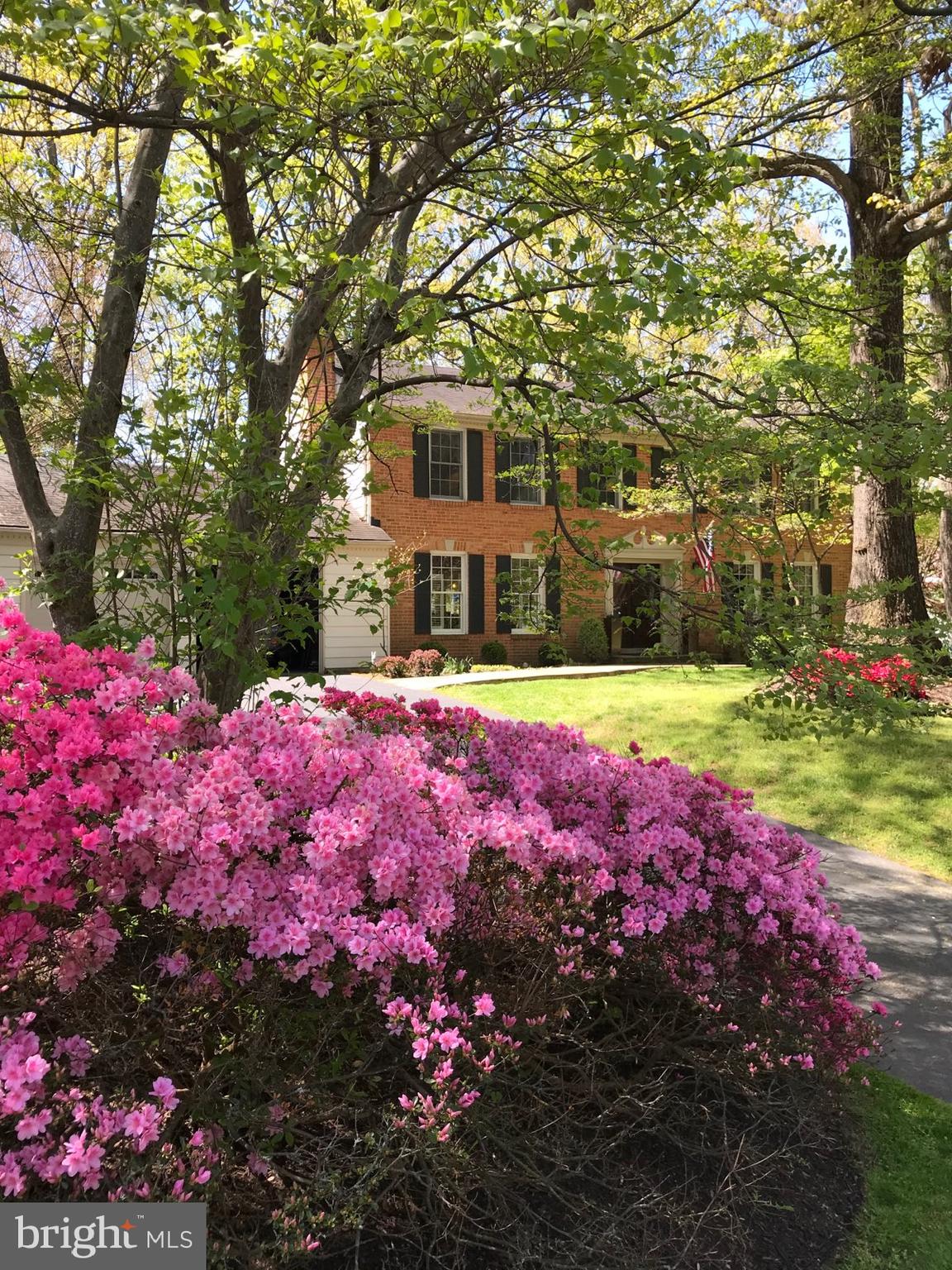 9027 Edgepark Road Vienna, VA 22182 - Photo 3 of 77 Gallery Image 3