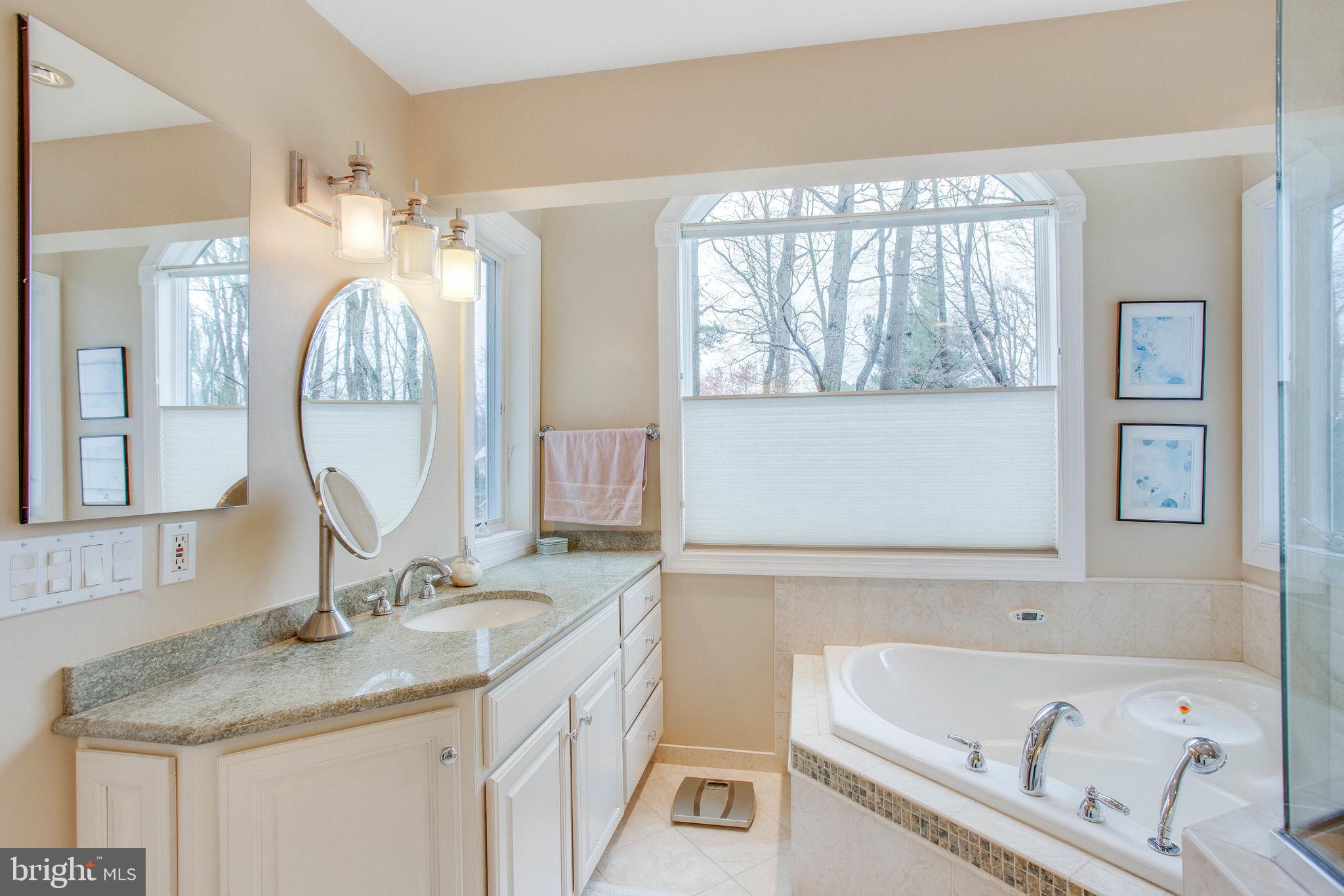 9027 Edgepark Road Vienna, VA 22182 - Photo 35 of 77 Spacious master bath w/2 separate vanities