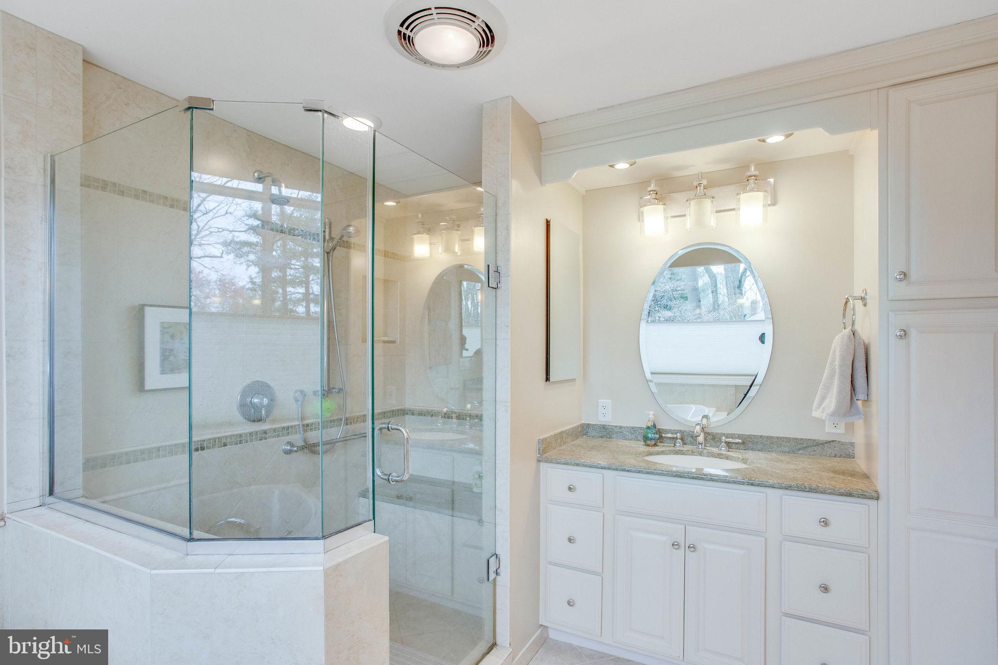 9027 Edgepark Road Vienna, VA 22182 - Photo 36 of 77 Over-sized glass framed shower