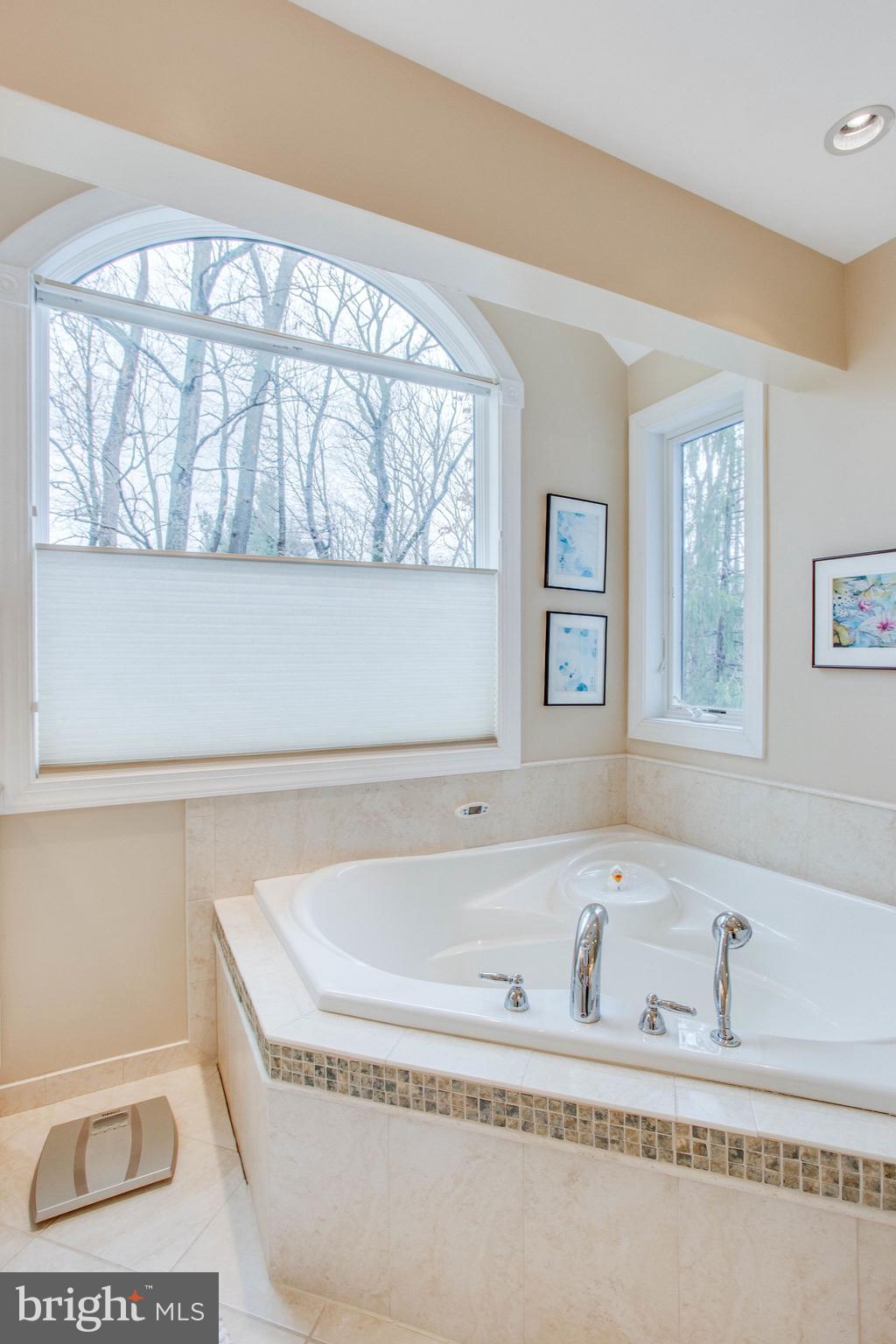 9027 Edgepark Road Vienna, VA 22182 - Photo 38 of 77 Deep soaking tub w/palladium window