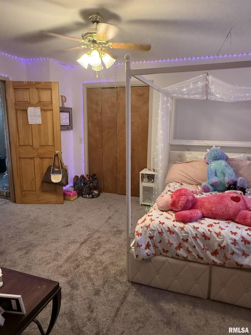 204 West Gelston Street Valier, IL 62891 - Photo 29 of 40