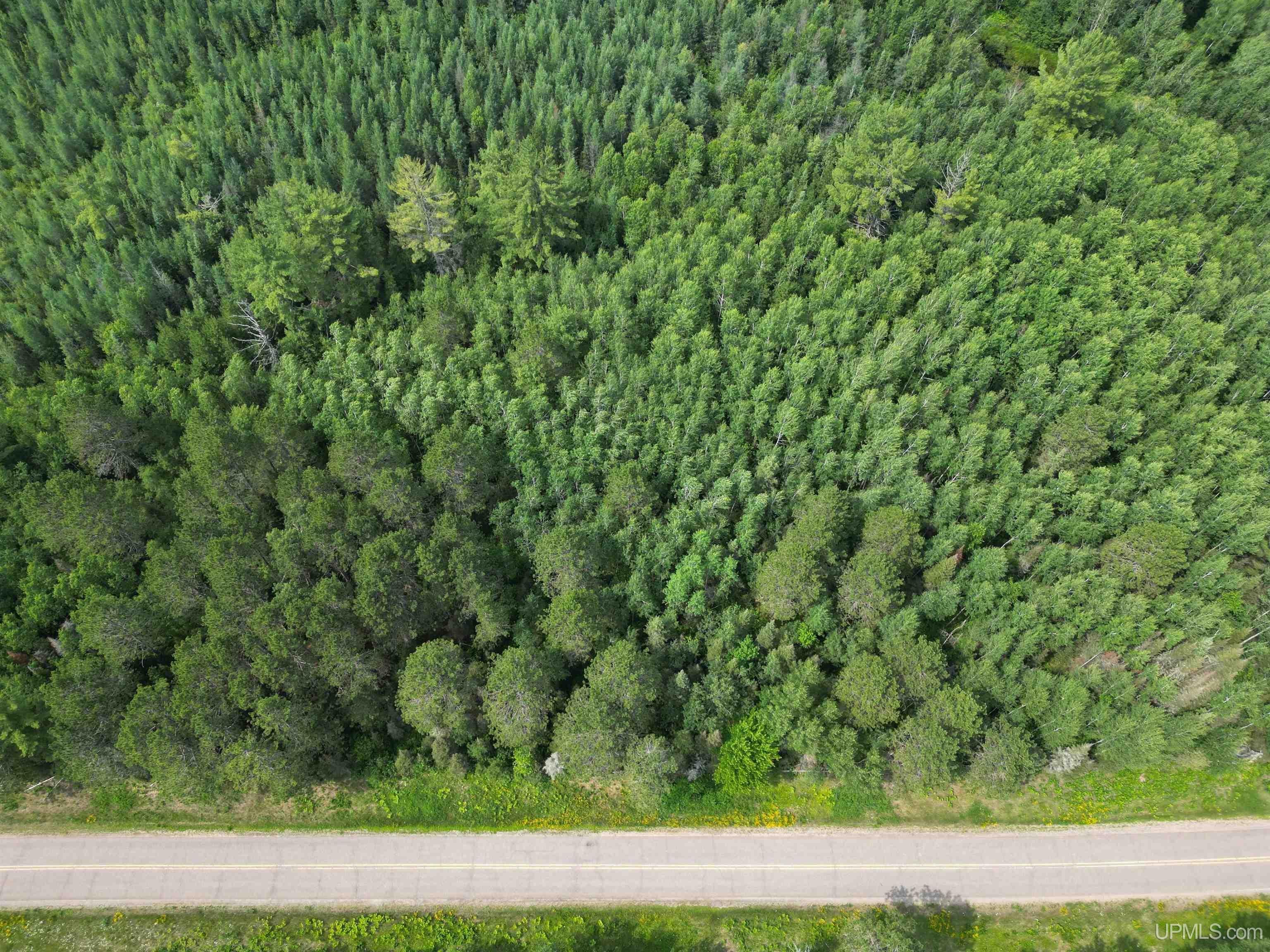 Tbd Leeman Road Felch, MI 49831 - Photo 72 of 84 Gallery Image 72
