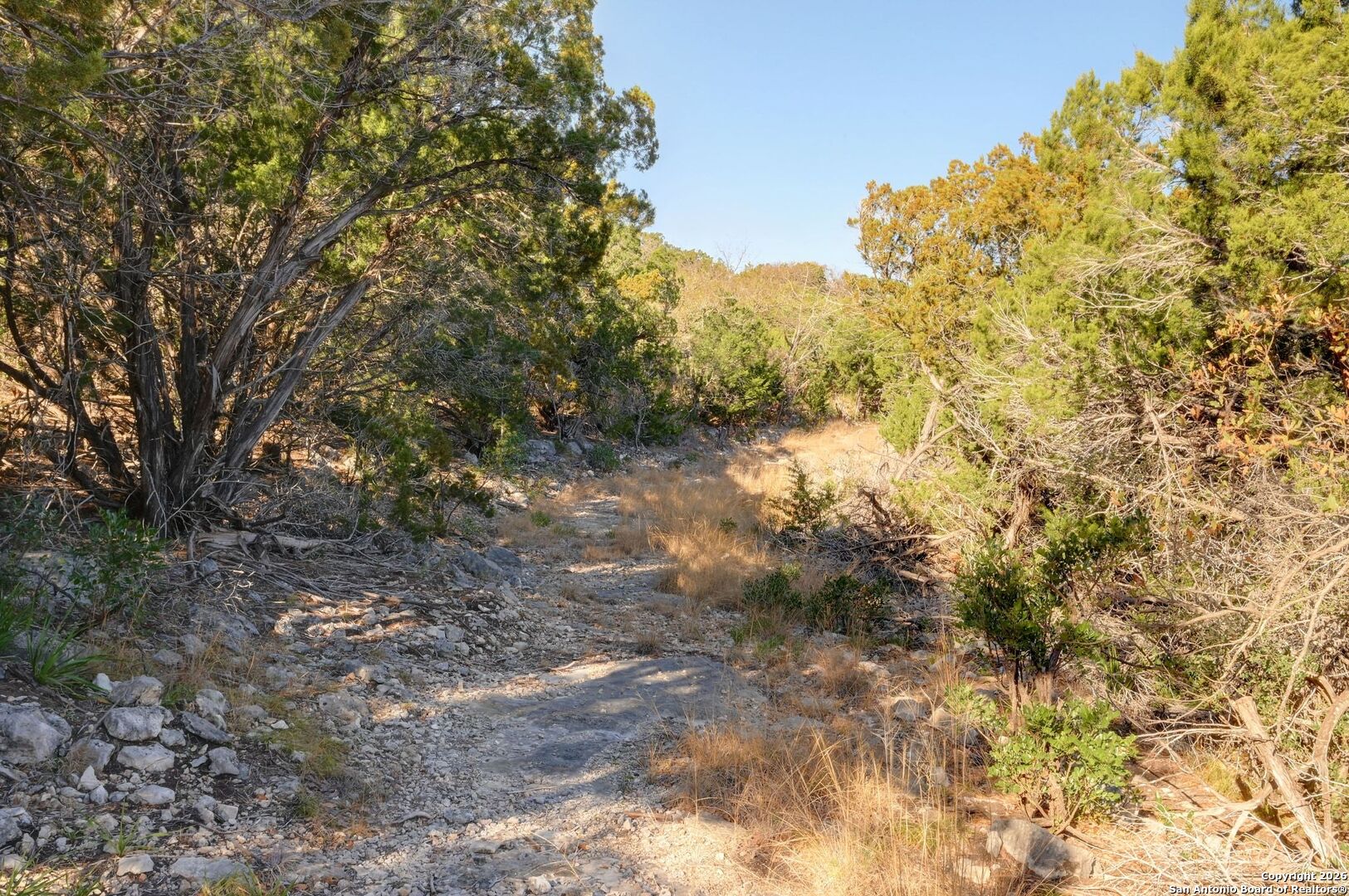 11586 Ranch To Market Road 336 Leakey, TX 78873 - Photo 11 of 39