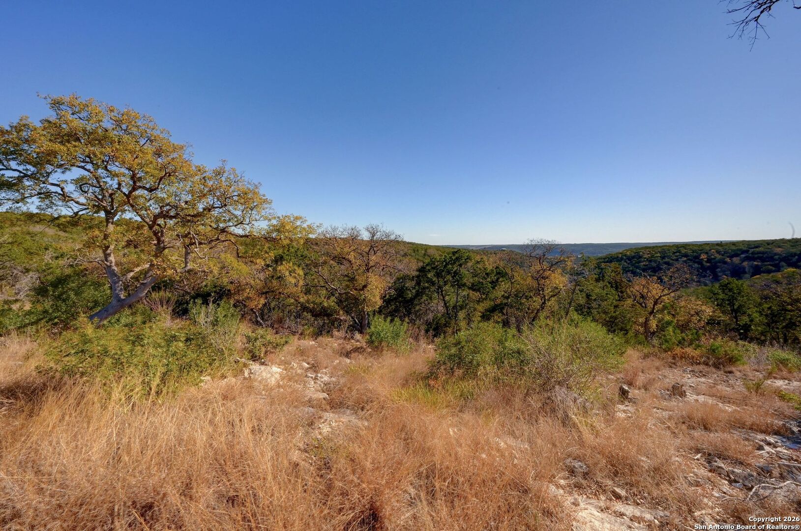 11586 Ranch To Market Road 336 Leakey, TX 78873 - Photo 17 of 39