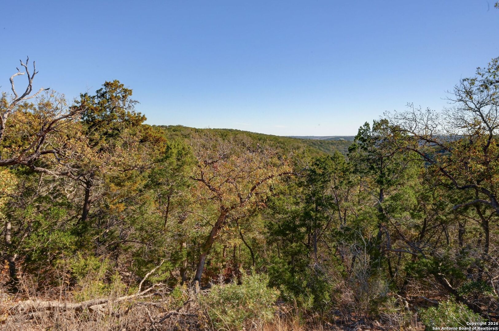 11586 Ranch To Market Road 336 Leakey, TX 78873 - Photo 19 of 39