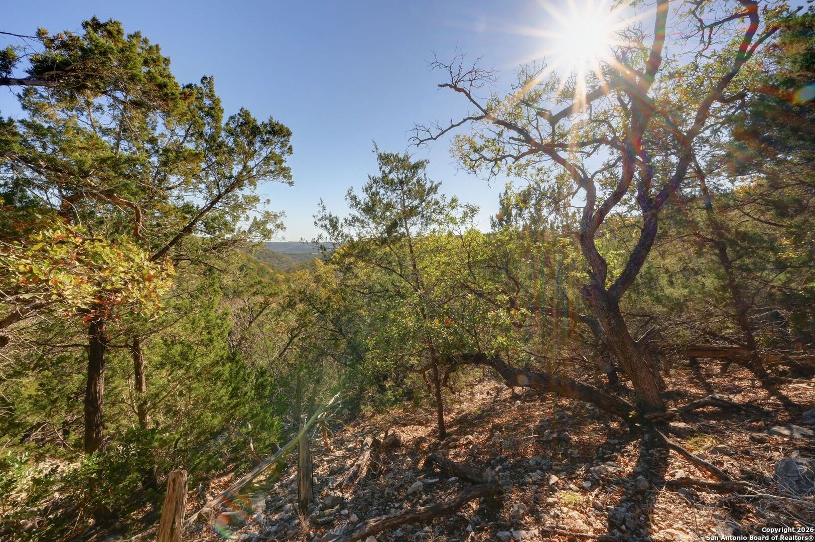 11586 Ranch To Market Road 336 Leakey, TX 78873 - Photo 20 of 39