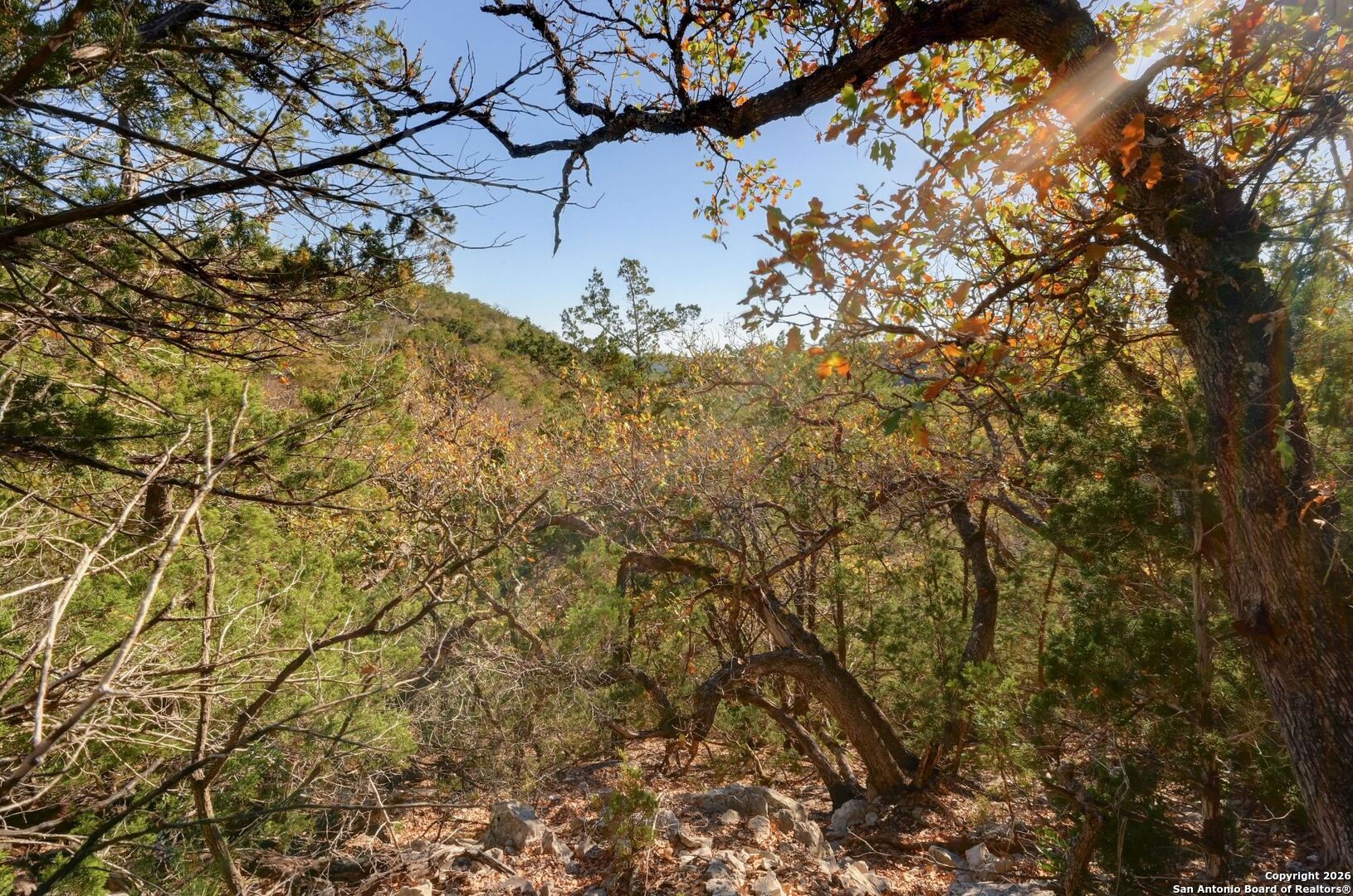 11586 Ranch To Market Road 336 Leakey, TX 78873 - Photo 21 of 39