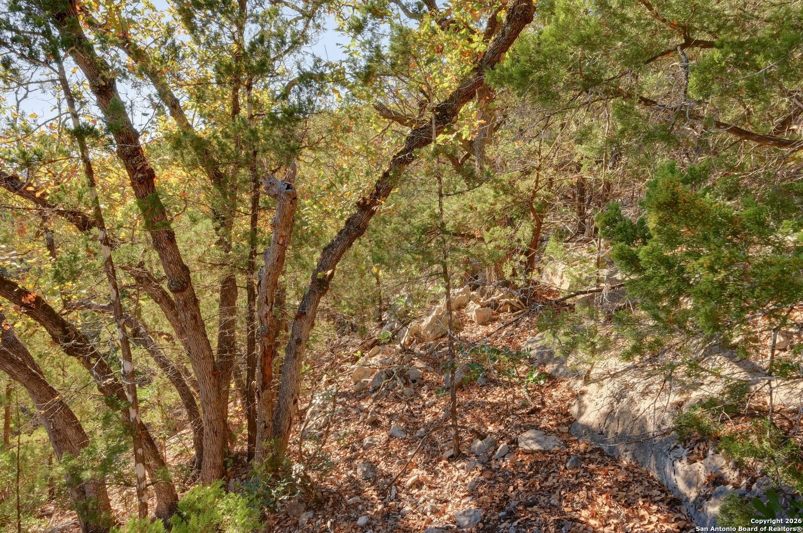 11586 Ranch To Market Road 336 Leakey, TX 78873 - Photo 22 of 39