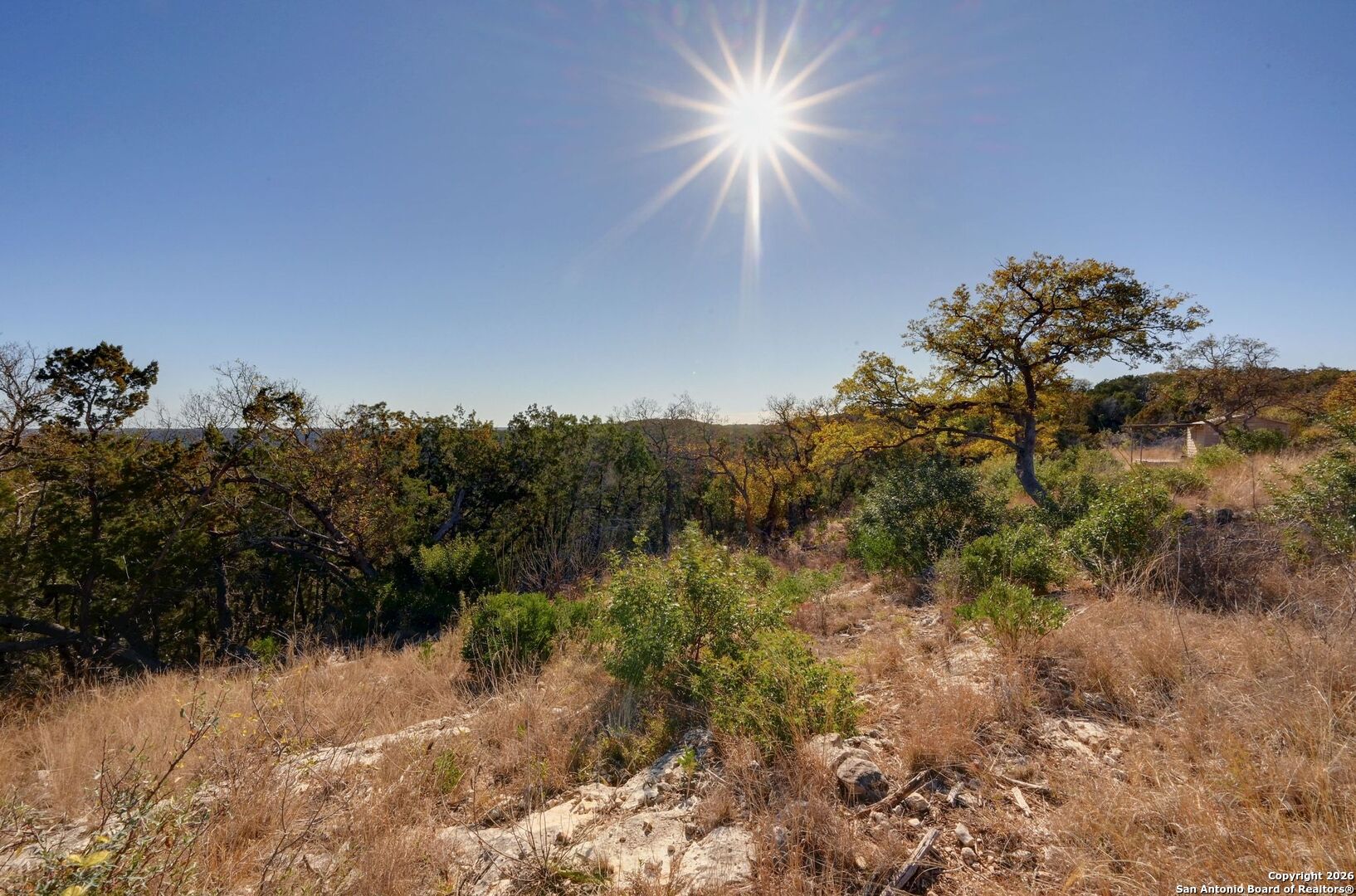 11586 Ranch To Market Road 336 Leakey, TX 78873 - Photo 23 of 39