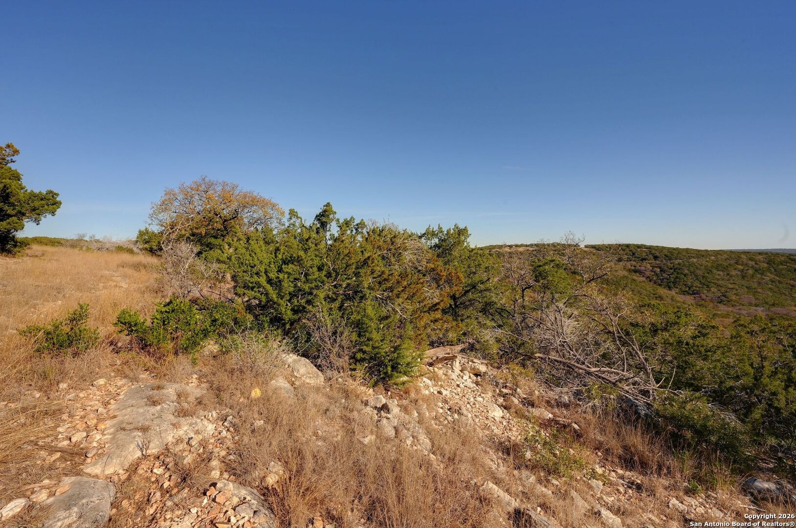 11586 Ranch To Market Road 336 Leakey, TX 78873 - Photo 10 of 39