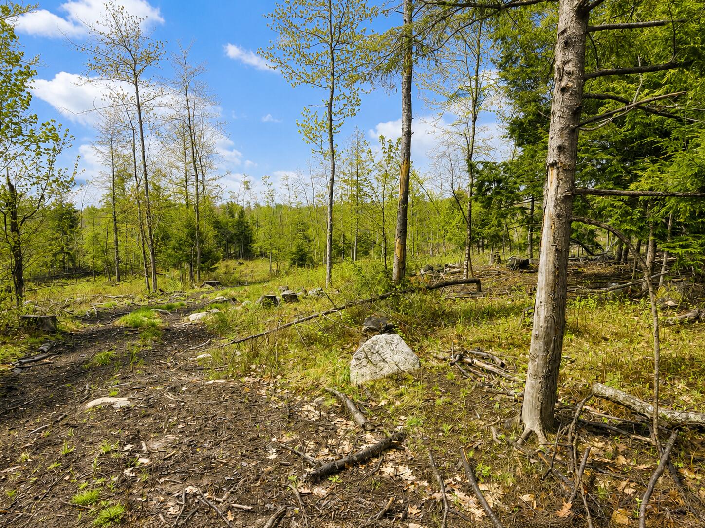 Map13-lot30 Clarks Bridge Road North Waterboro, ME 04061 - Photo 5 of 6 86392466-B356-438F-9454-71E67C607276