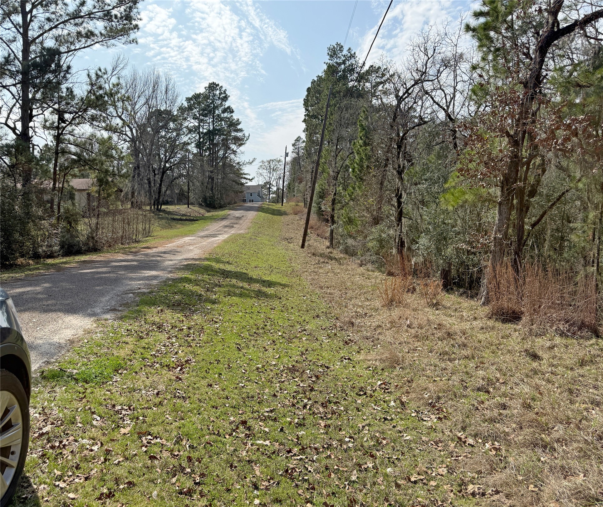 a view of a yard with trees