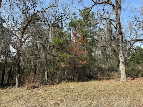 a view of a yard covered in snow