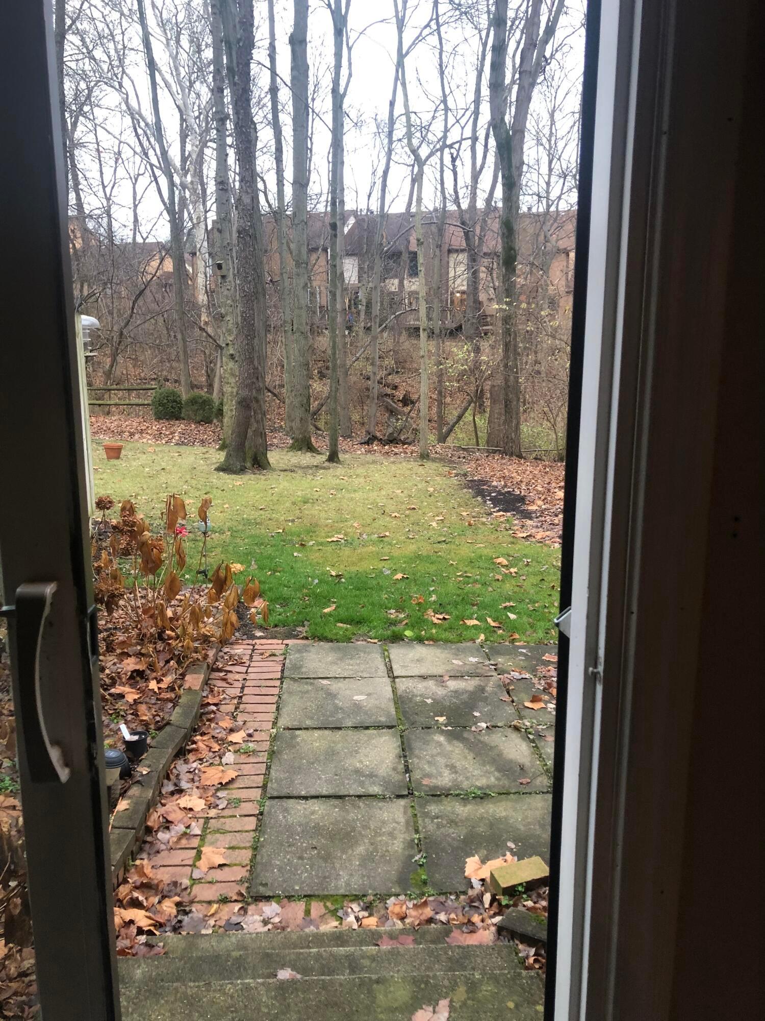 3727 Canon Ridge Place Columbus, OH 43230 - Photo 2 of 22 View if the back yard from Livingroom