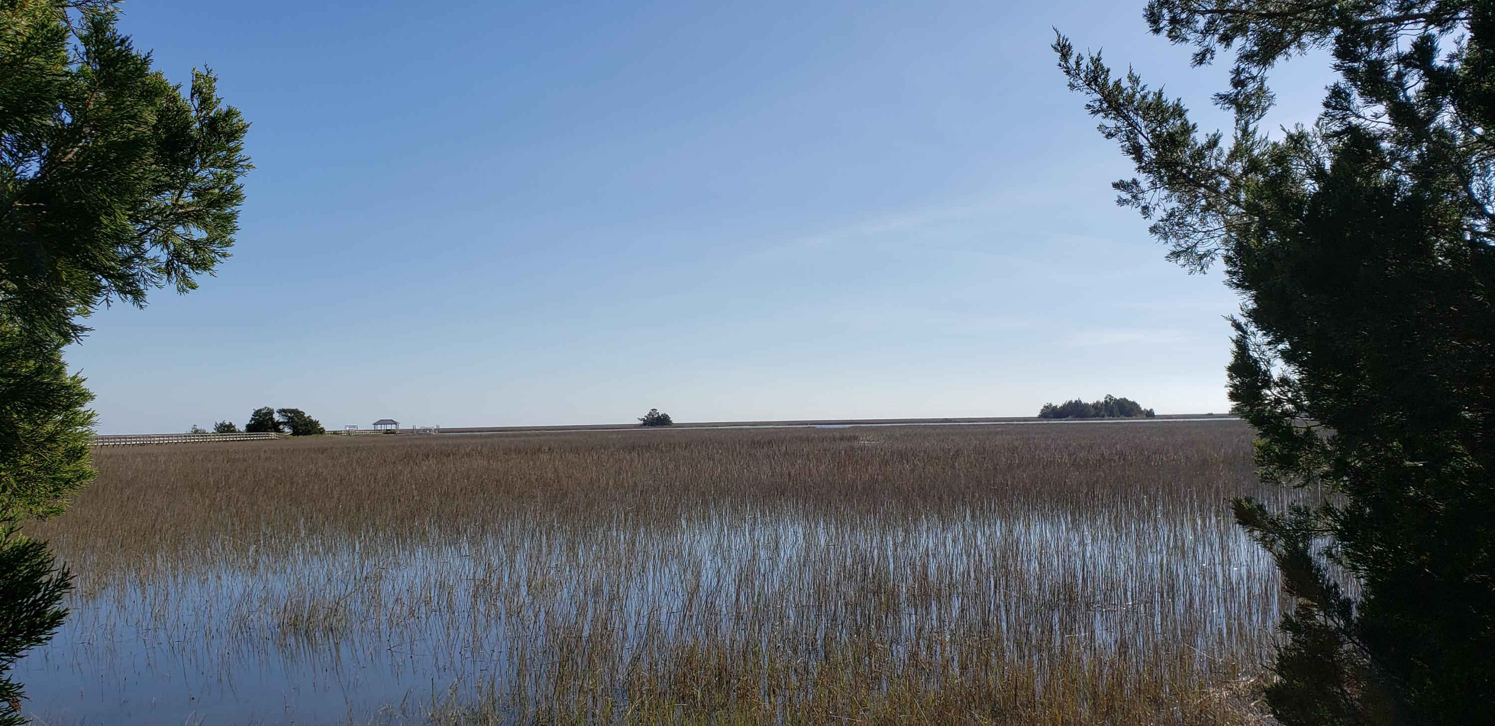9849 2 Pines Road McClellanville, SC 29458 - Photo 2 of 10 20