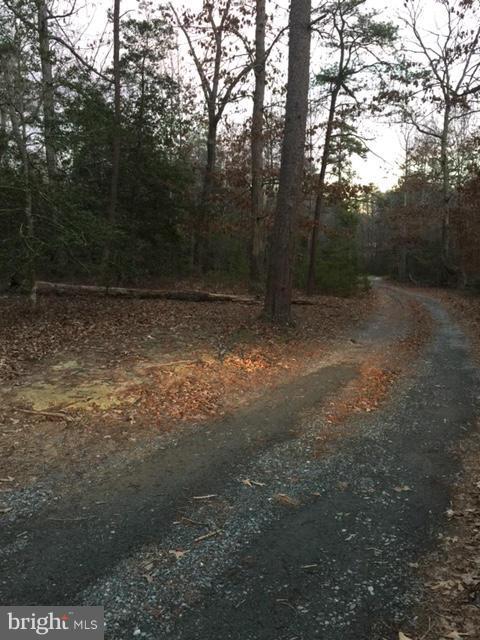 13070 Sillamon Road Goldvein, VA 22720 - Photo 3 of 3 View