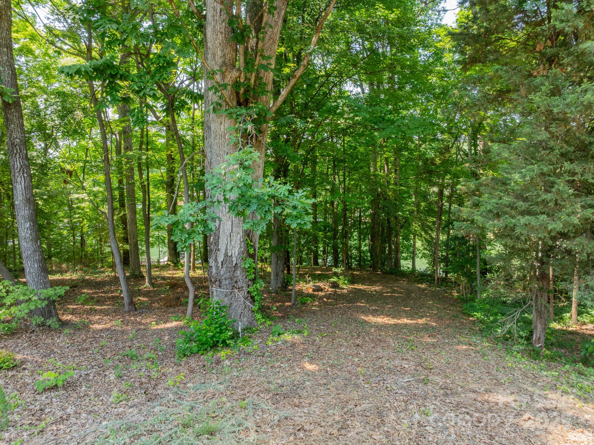 200 Greenbay Road Mooresville, NC 28117 - Photo 11 of 11 a backyard of a house with lots of green space