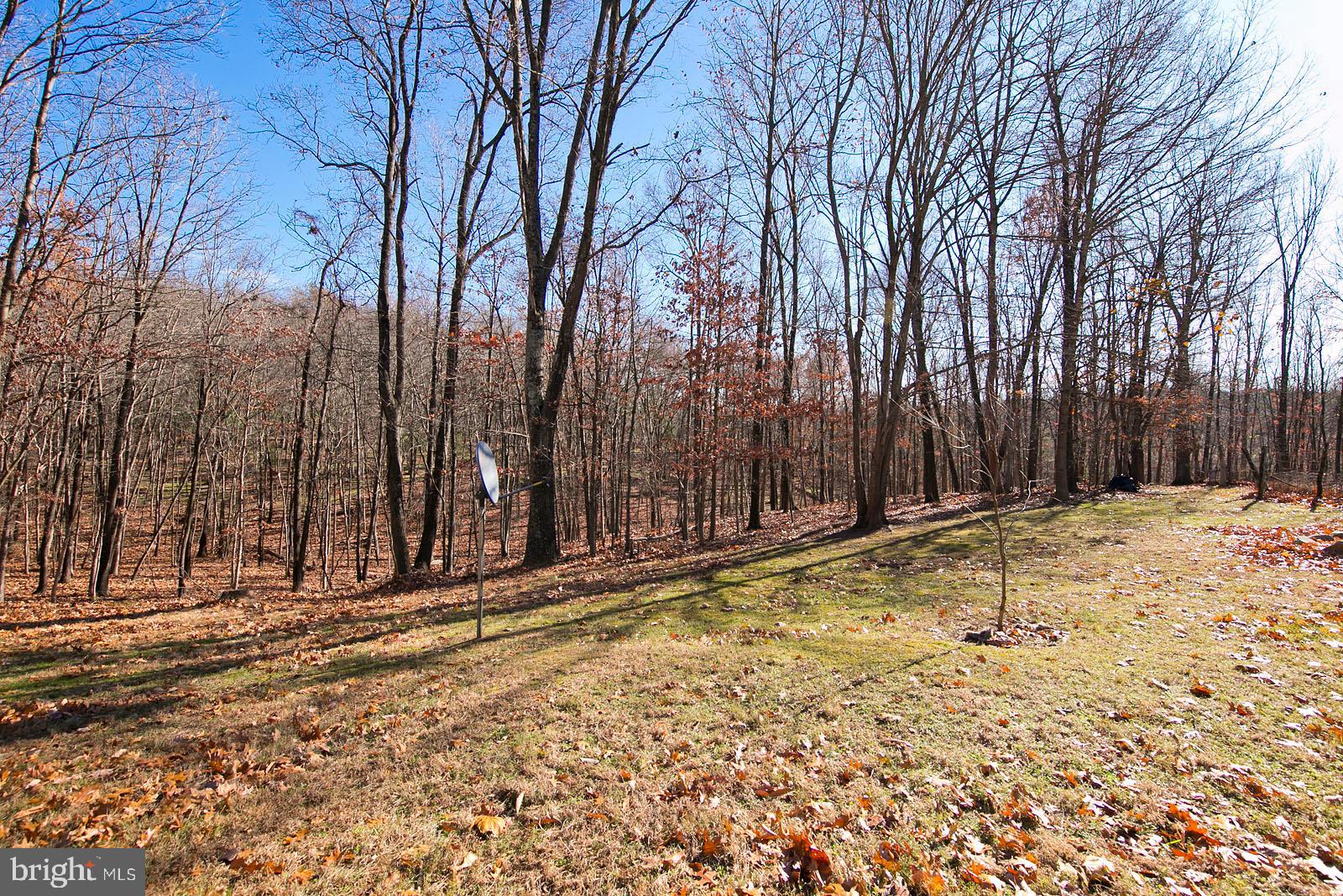 3680 Green Spring Road Winchester, VA 22603 - Photo 39 of 41 Gallery Image 39