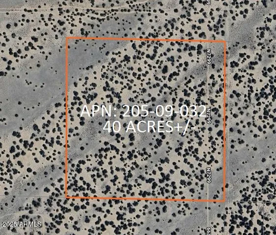 a view of a yard in front of the house