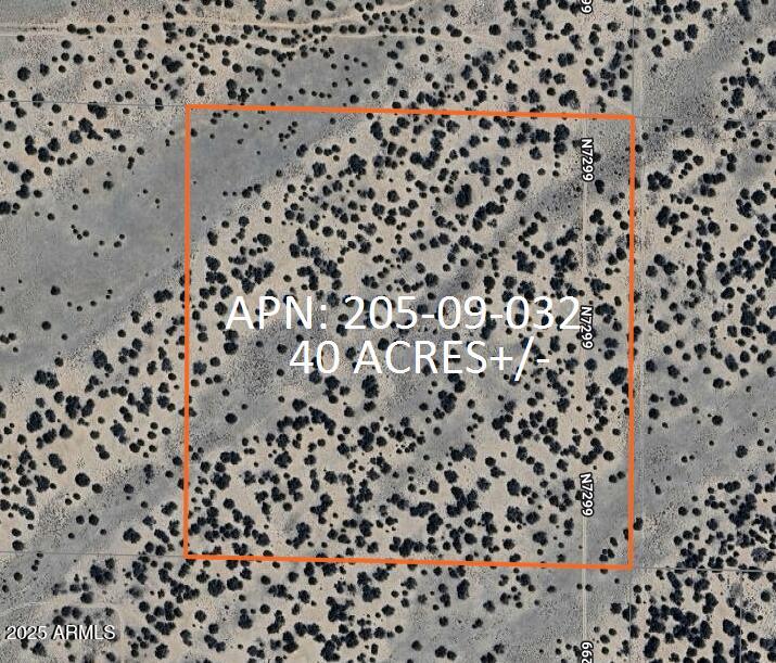 483 County Road St. Johns, AZ 85936 - Photo 3 of 10