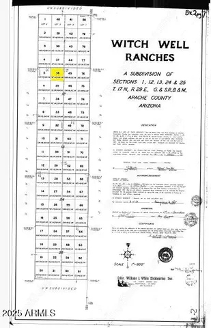 a view of a flower in a yard