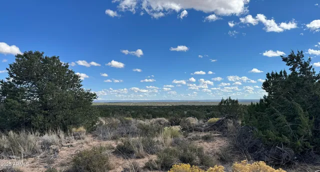 a view of a house with a street