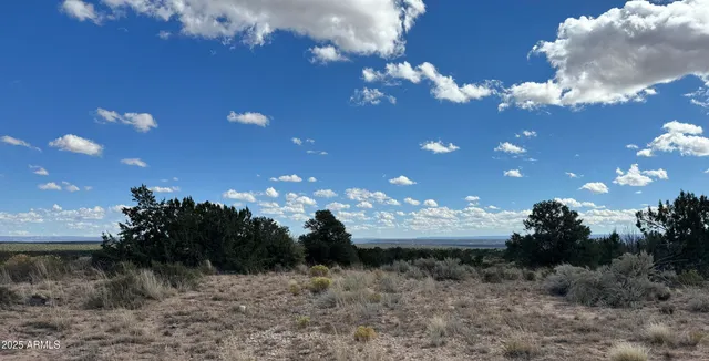 $25,947 | 483 County Road, St. Johns, AZ 85936