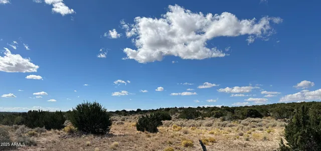 $25,947 | 483 County Road, St. Johns, AZ 85936