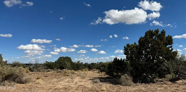 $25,947 | 483 County Road, St. Johns, AZ 85936