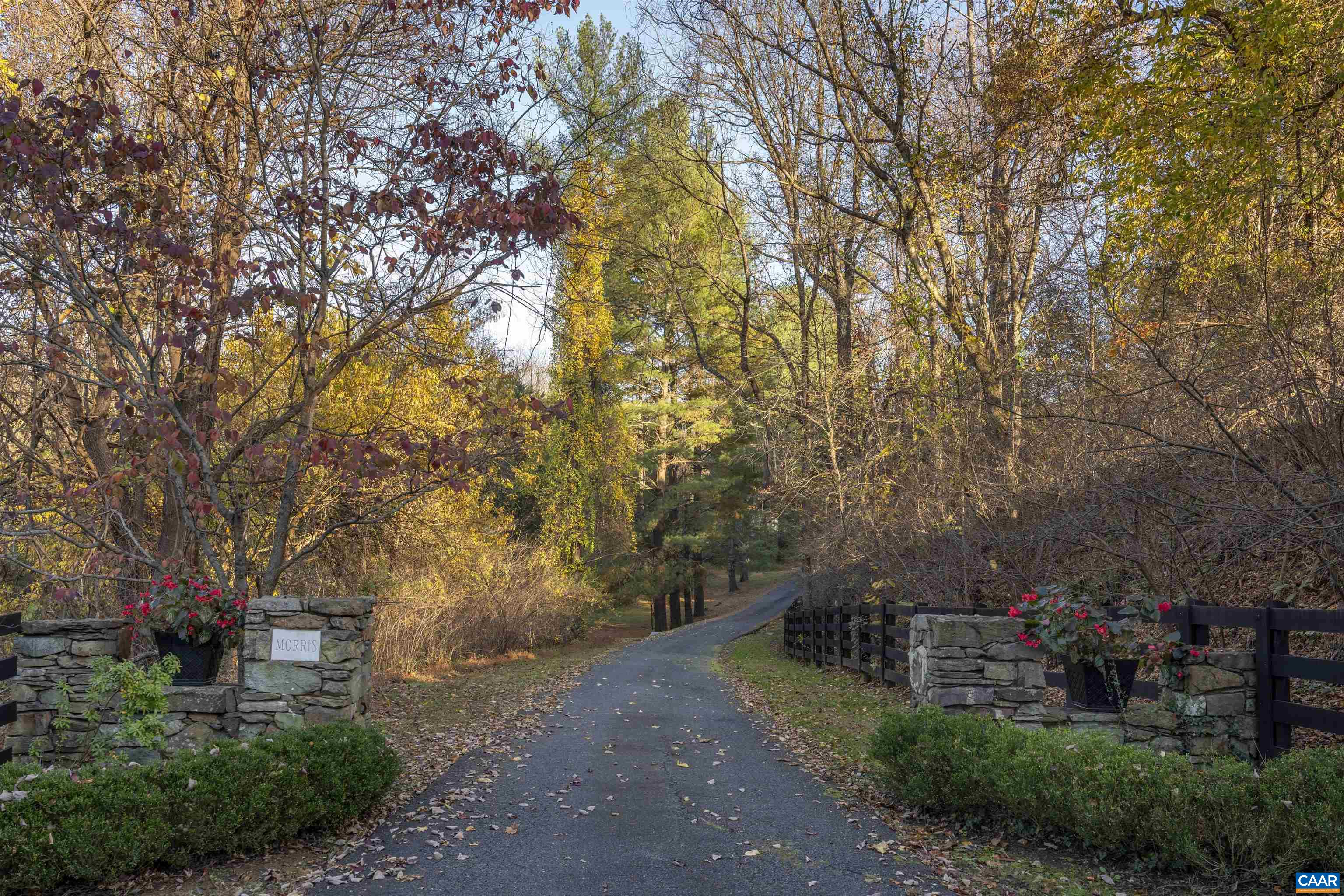 1789 Stony Point Road Charlottesville, VA 22911 - Photo 38 of 46 a view of yard with green space and trees
